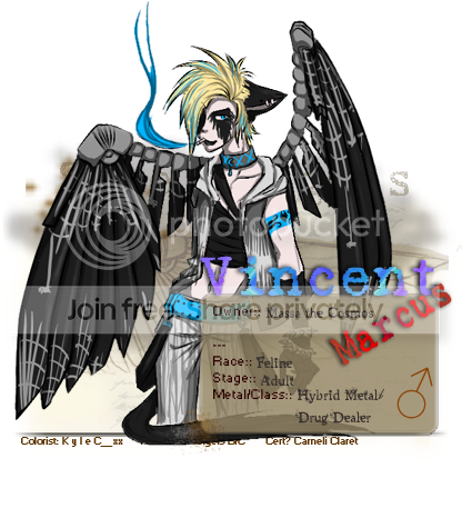 User Image